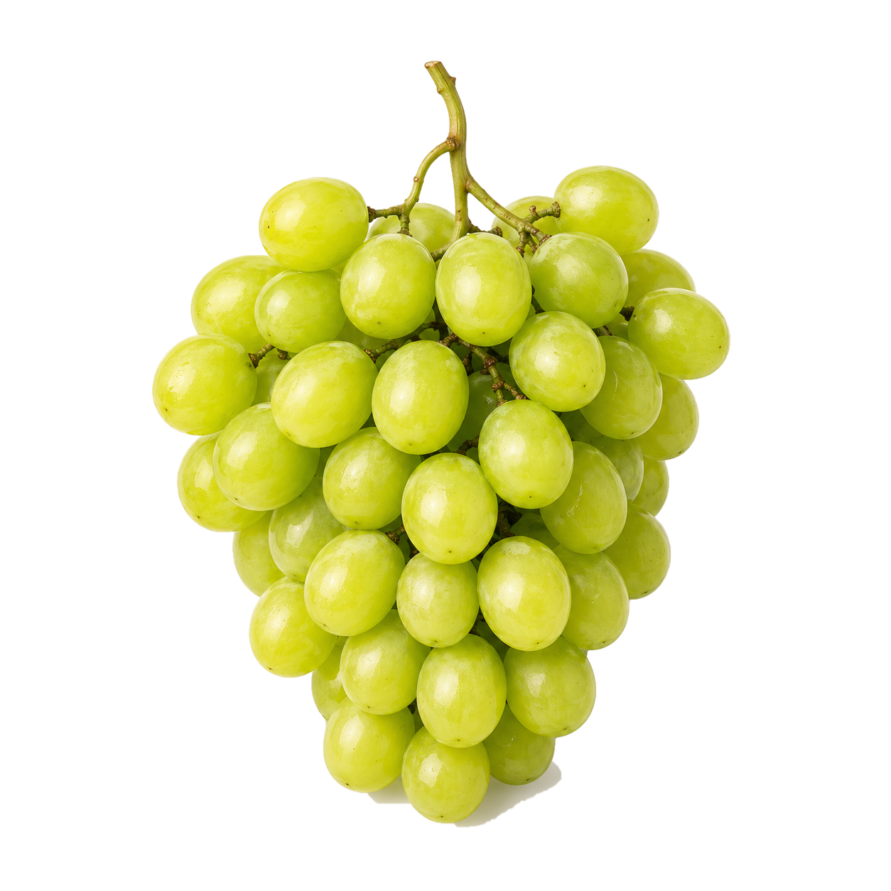 Nho xanh không hạt Úc